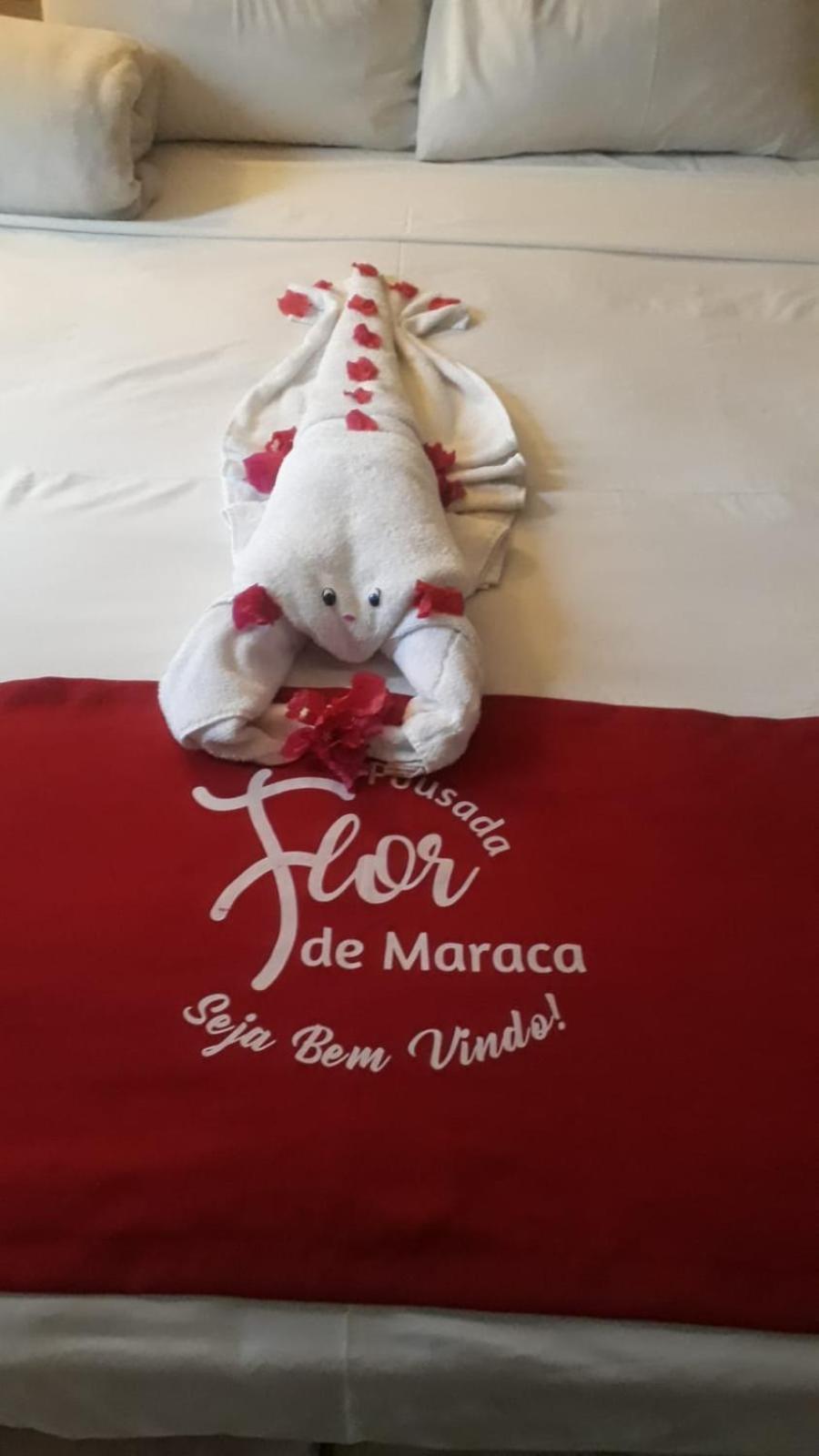 Pousada Flor De Maraca ปอร์โต จิ กาลินญาส ภายนอก รูปภาพ